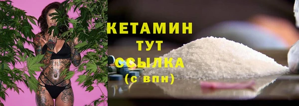 сатива Майский
