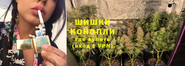 стафф Магадан