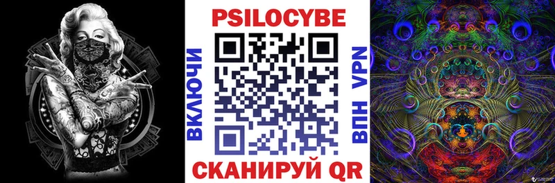 Галлюциногенные грибы Psilocybe  Грозный 