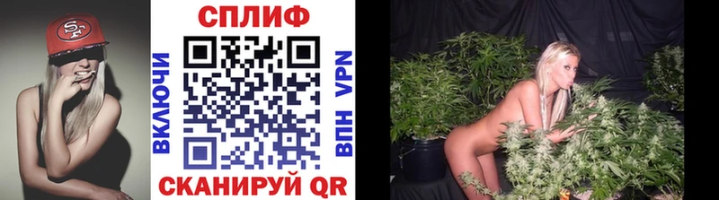omg tor Грозный Каннабис сатива даркнет сайт
